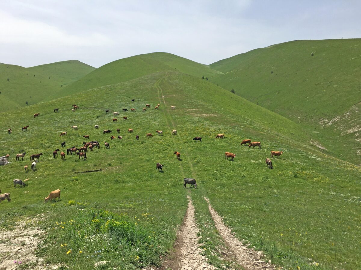 Главный Сулакский каньон. По следам Дюма