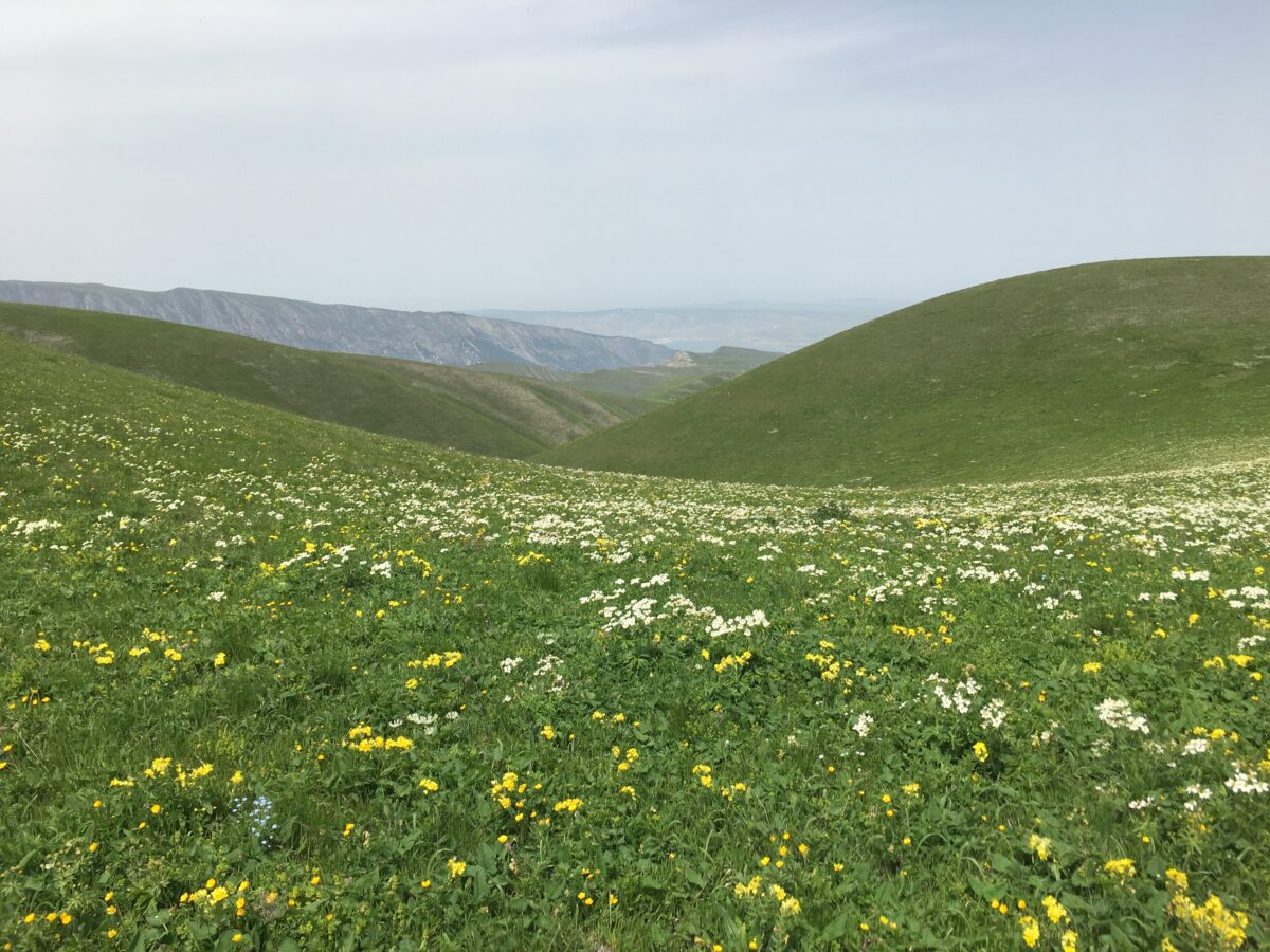 Главный Сулакский каньон. По следам Дюма