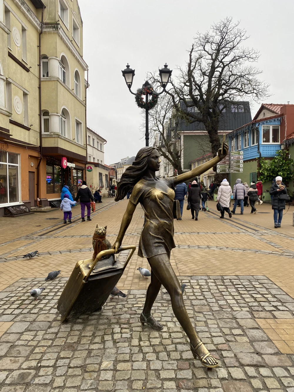 Столица кошек — Зеленоградск
