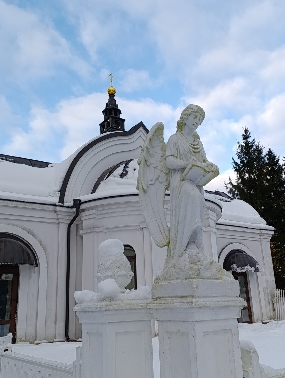 Прусские воительницы и великие полководцы 19 века