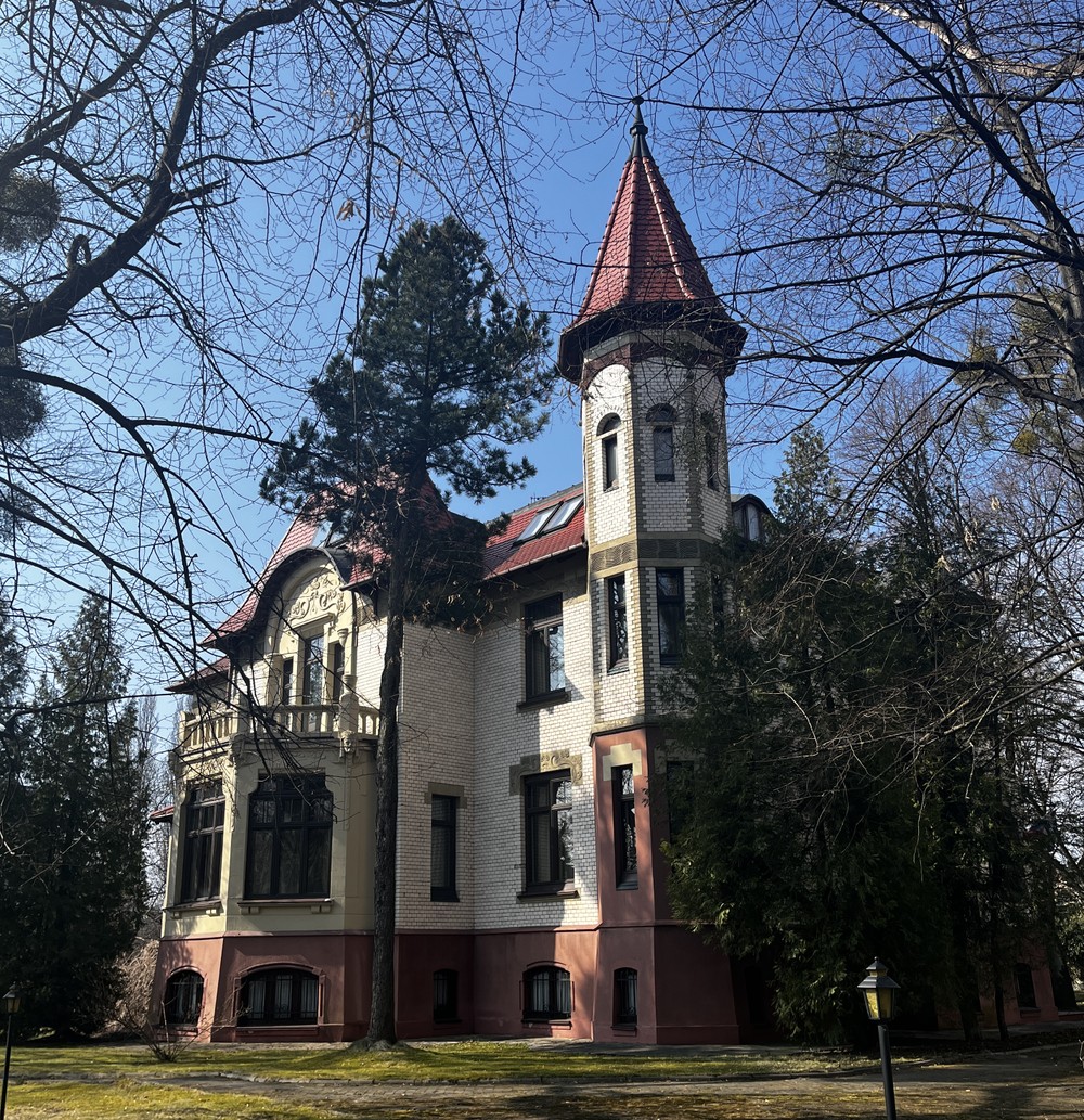 Современный взгляд на Амалиенау