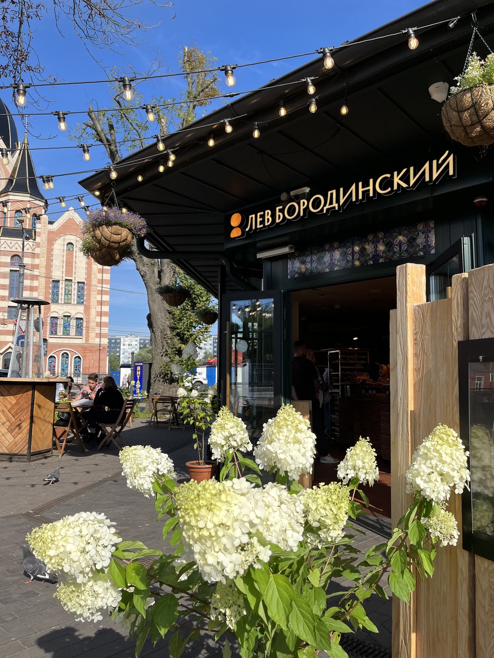 От «Кровавого суда» до современных клопсов: гастрономическая экскурсия по Калининграду