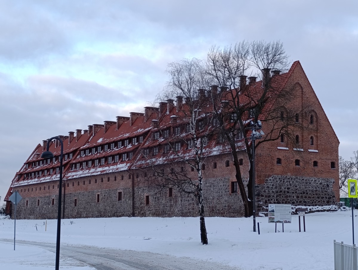 Прусские воительницы и великие полководцы 19 века