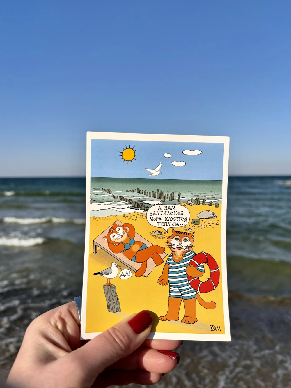 Добро пожаловать в Светлогорск!