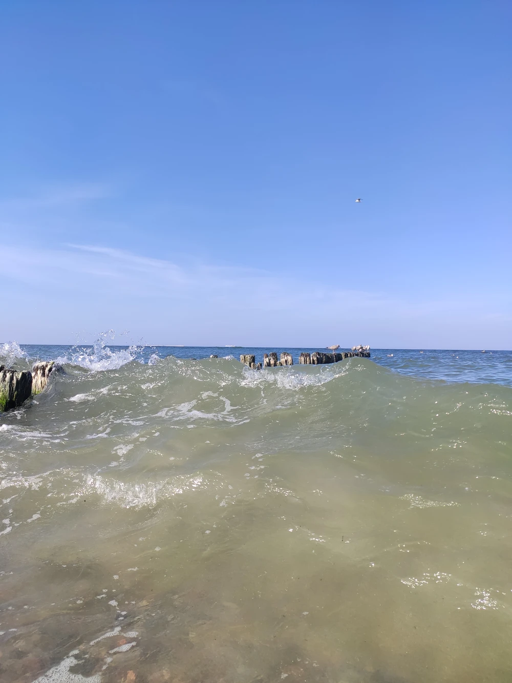 В царство дюн, моря и птиц на Куршской косе — из Калининграда