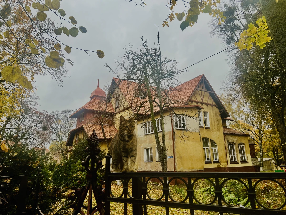 Загадки Амалиенау: экскурсия с элементами квеста