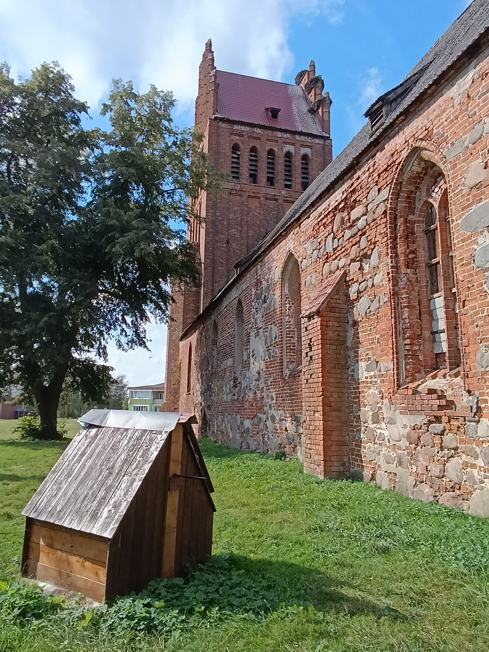 В поисках приключений: на медовых лугах Бартии