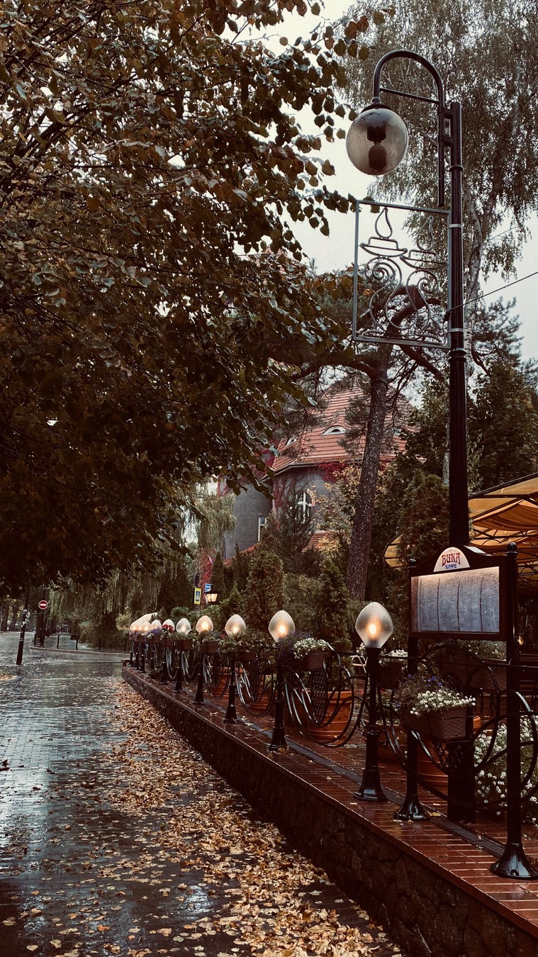Зимние забавы Раушена и окрестностей