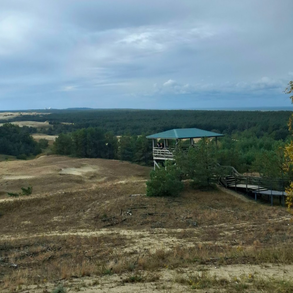Первый раз на Куршской косе — из Зеленоградска
