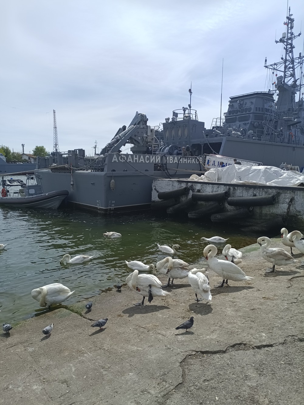 Балтийское побережье — в поисках сокровищ