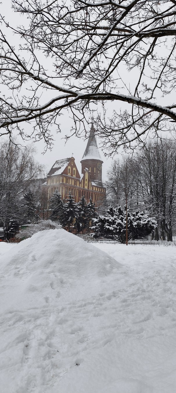 Влюбиться в Калининград за 4 часа!