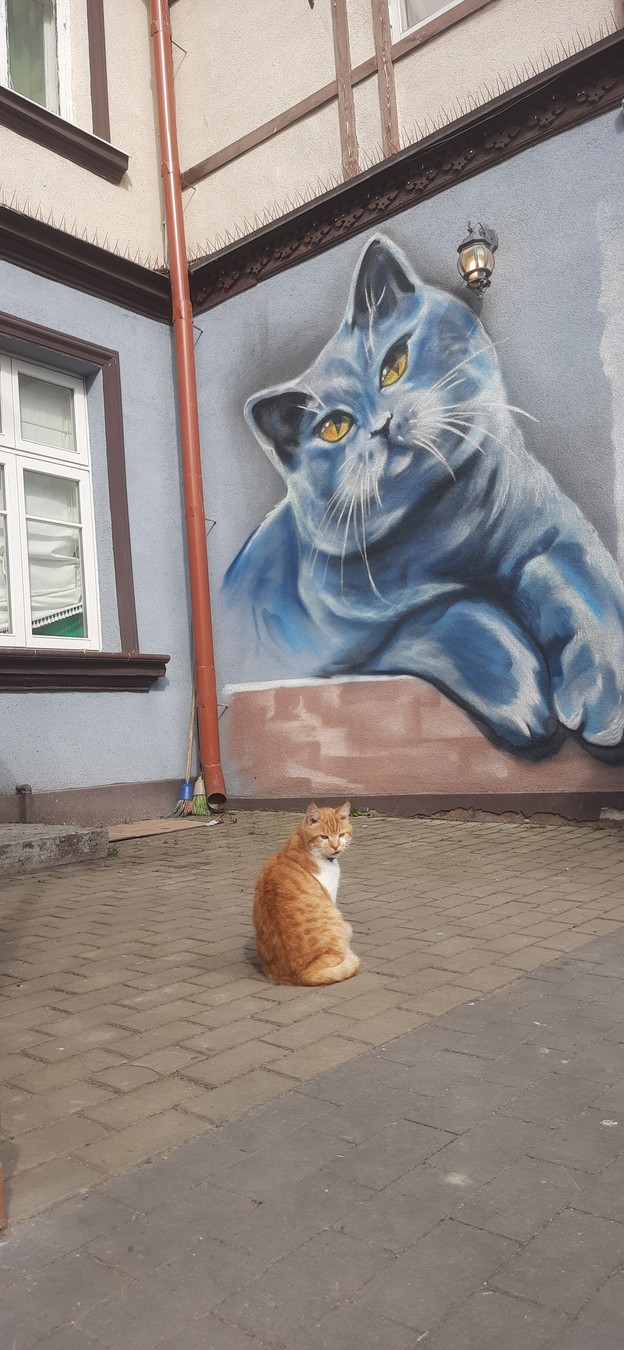 Из Калининграда — на Куршскую косу и в Зеленоградск