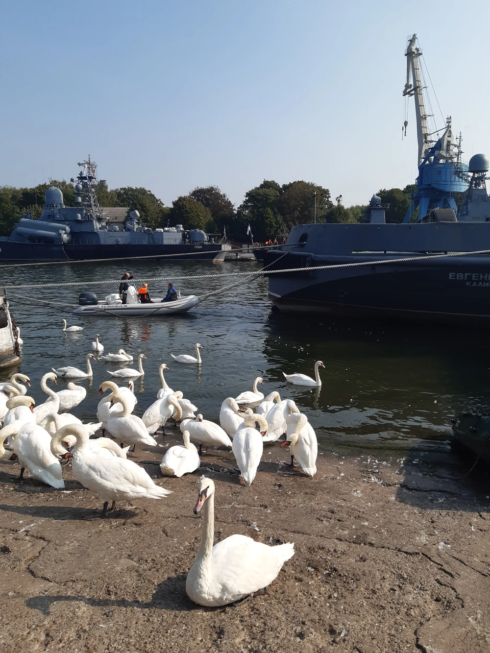 Балтийск, Янтарный, Светлогорск — три облика Балтики