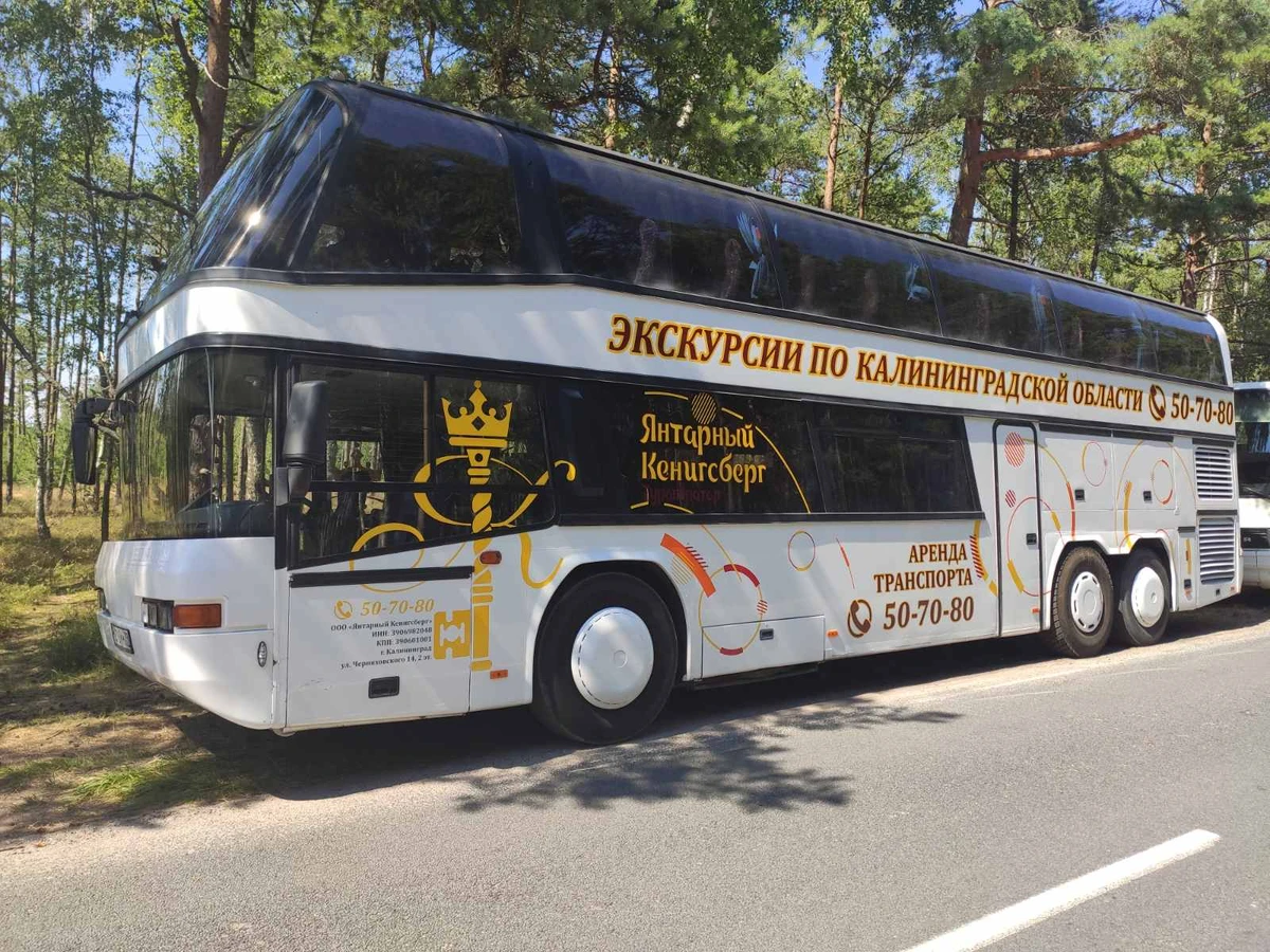 На двухэтажном автобусе — по Калининграду (с дегустацией марципана)