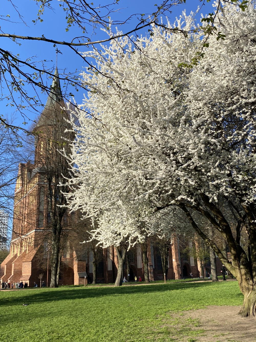 Из Кёнигсберга в Калининград: сквозь века