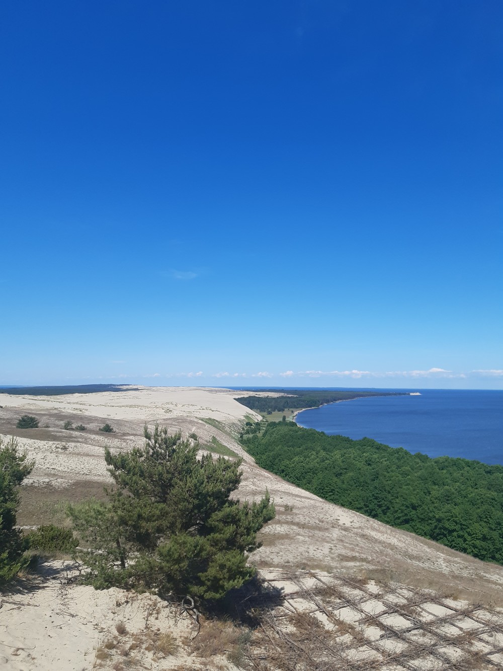 Увлекательная прогулка по Куршской косе из Калининграда: море, дюны и легенды