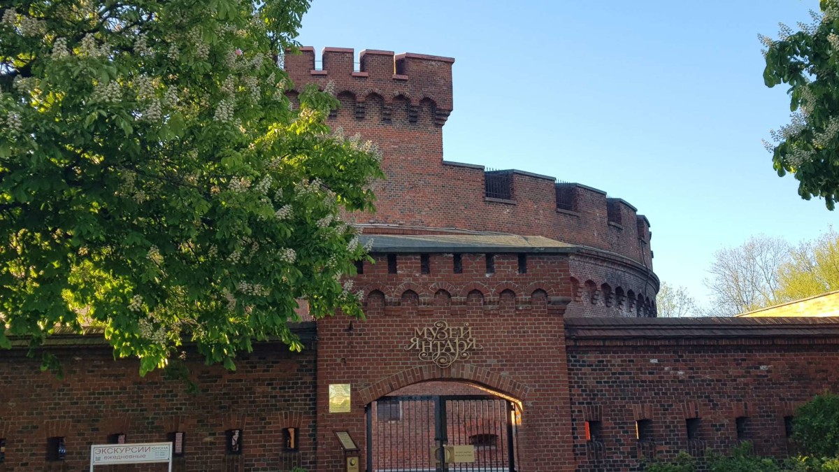 Из Зеленоградска — в Калининград (+ трансфер туда и обратно)