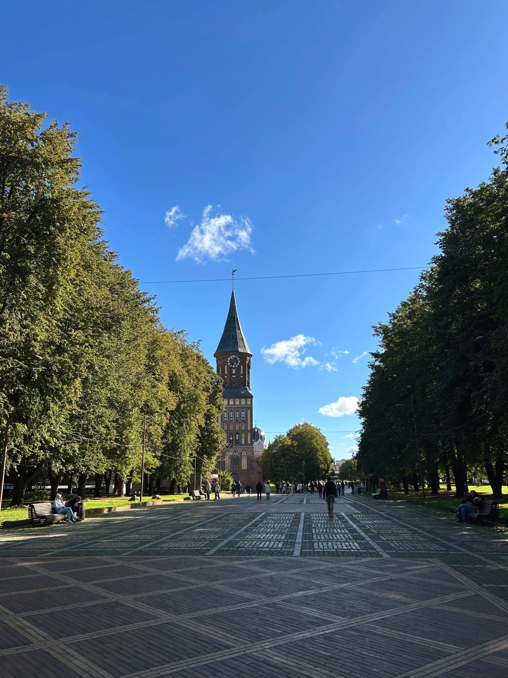 Лучший день в Калининграде: экскурсия по центру города, дегустация сыра и прогулка на кораблике