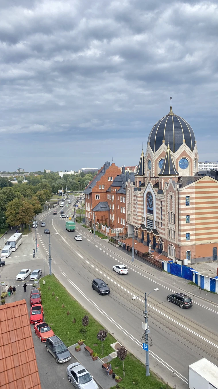 В погоню за восточно-прусскими котами: семейный квест по Калининграду