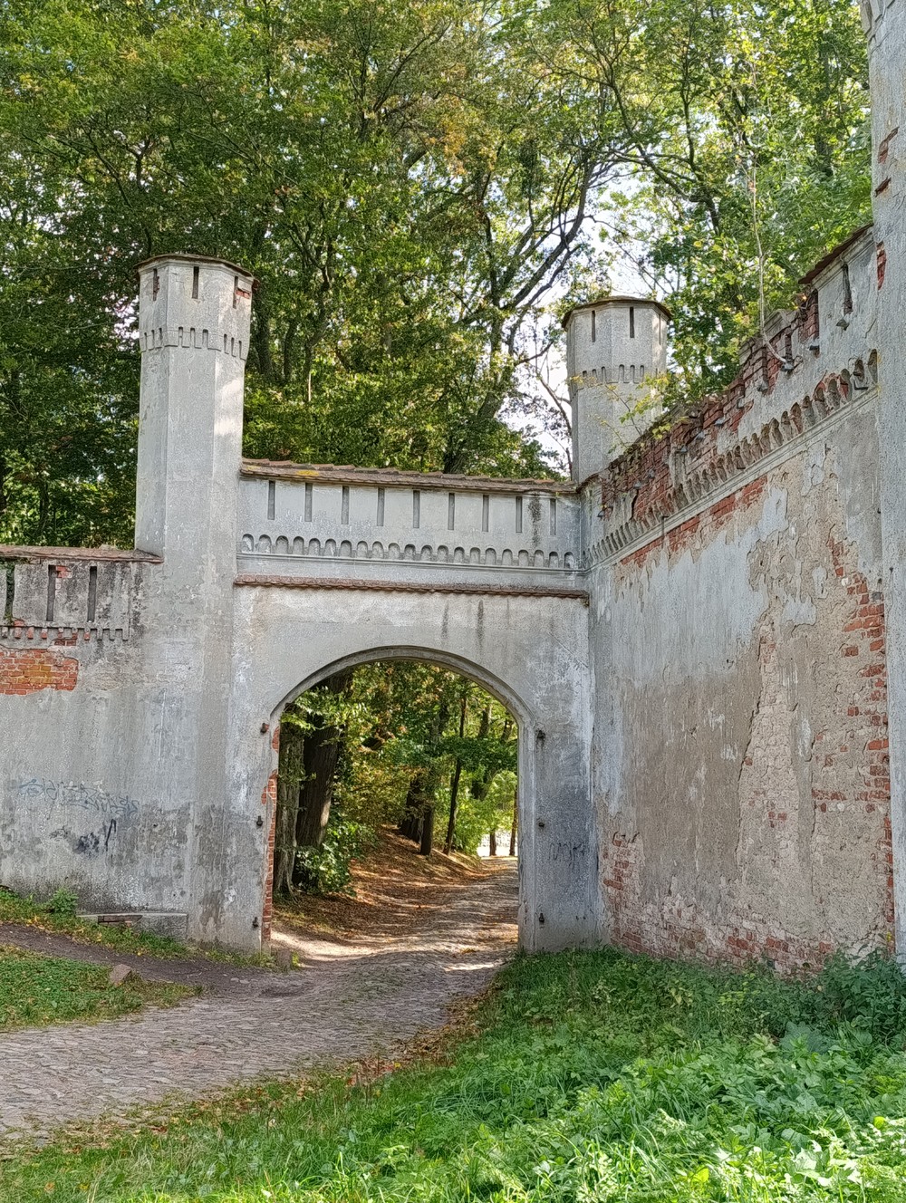 В поисках приключений: на медовых лугах Бартии