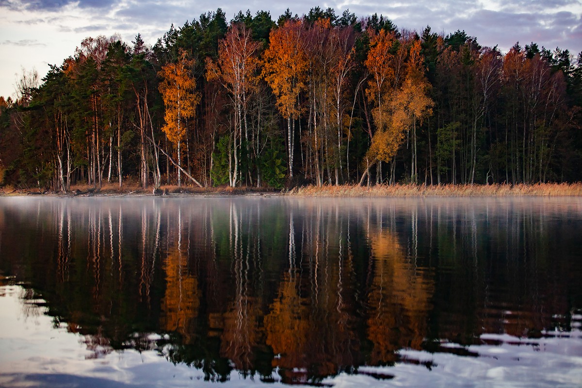 Замок Инстербург и Роминтская пуща. Фотопутешествие во времени