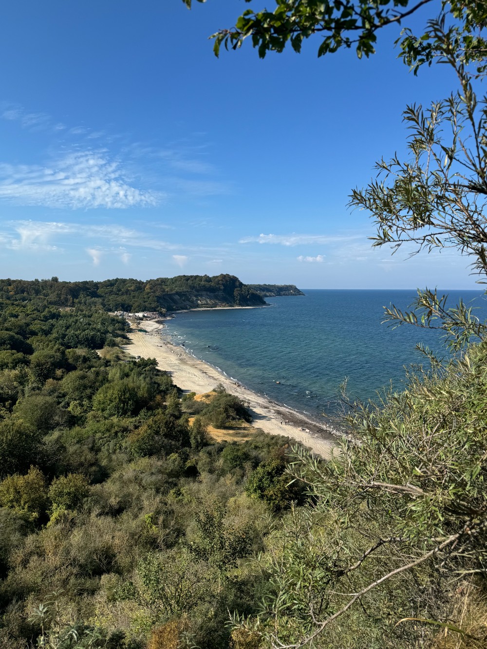 Янтарный и Светлогорск: всё самое интересное