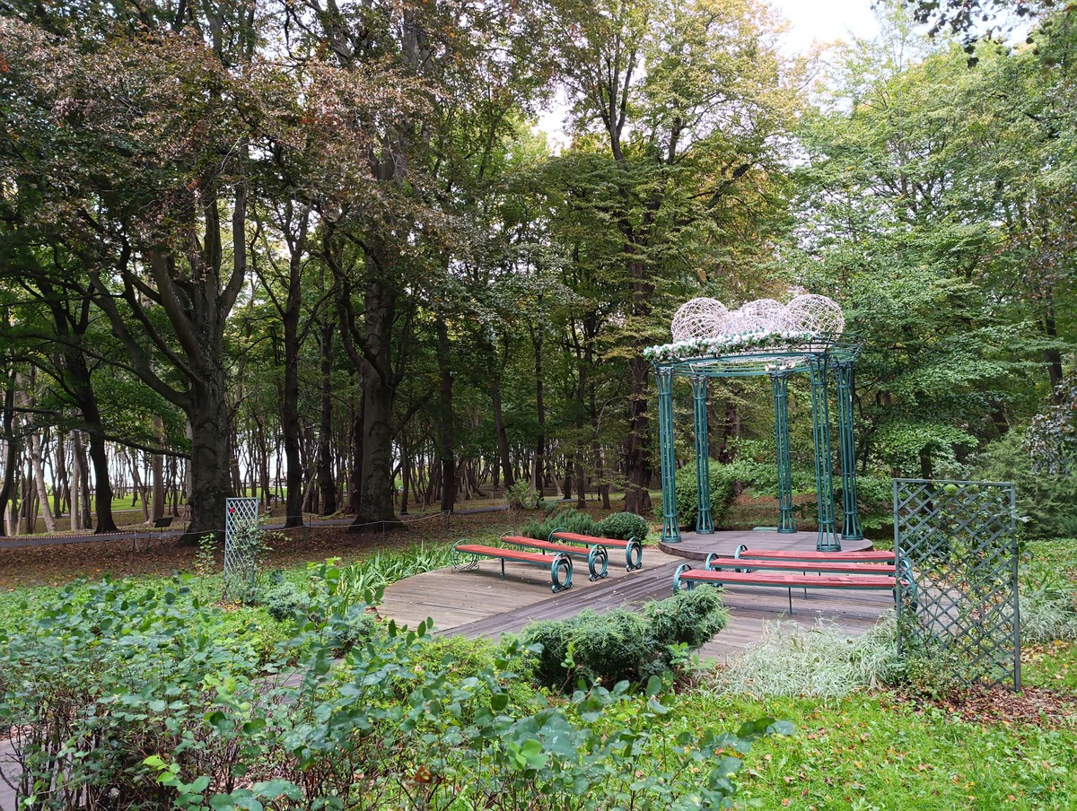 Янтарный и Светлогорск: в поисках «северного золота»