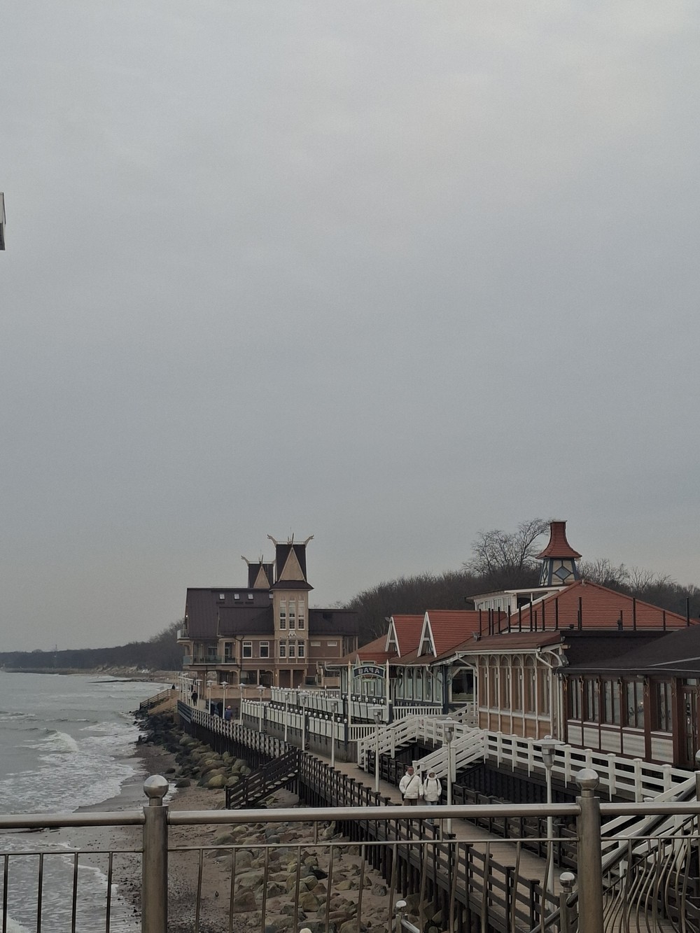Кошачьи тропы и морские ветра Зеленоградска