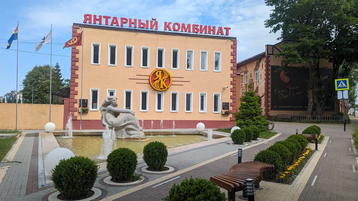 Из Калининграда — в Янтарный