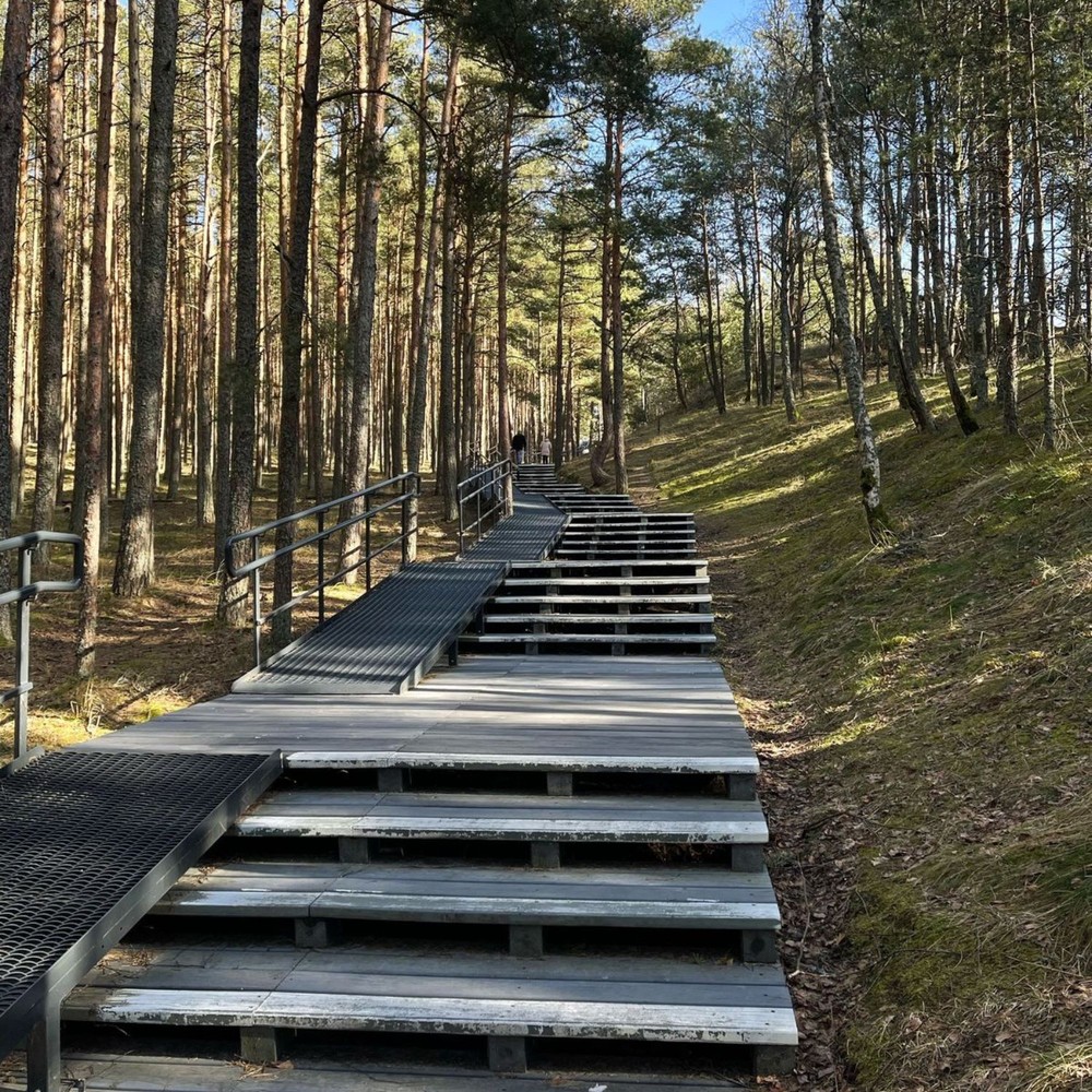 Куршская коса, Зеленоградск и дегустация в сыроварне Шаакен Дорф