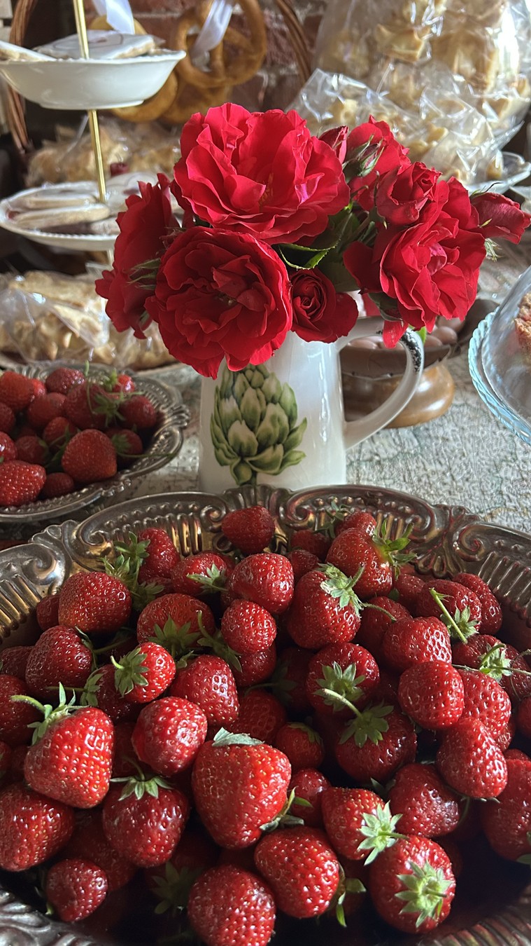 Королевские курорты Земландии