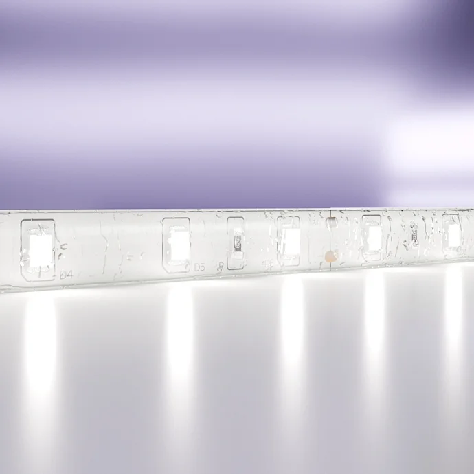Led Strip Светодиодная лента 24В 2835 4,8Вт/м 6000K 5м IP65 10141 — 4.80Вт IP65