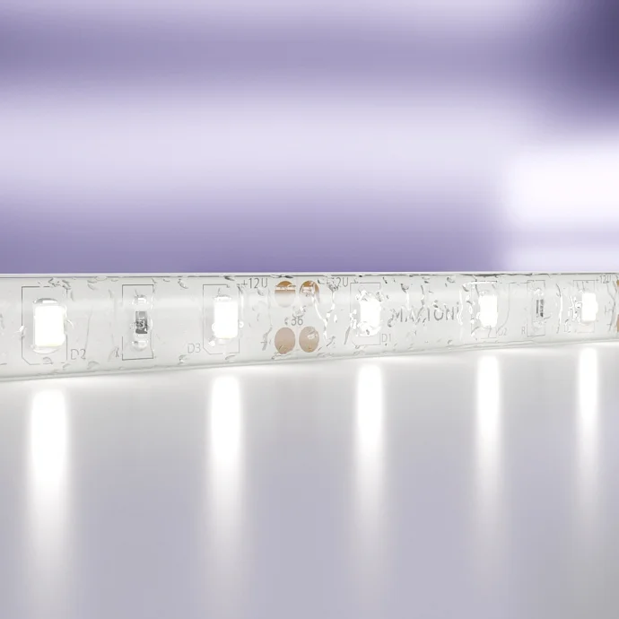 Led Strip Светодиодная лента 12В 2835 7,2Вт/м 6000K 5м IP65 20006 — 7.20Вт IP65