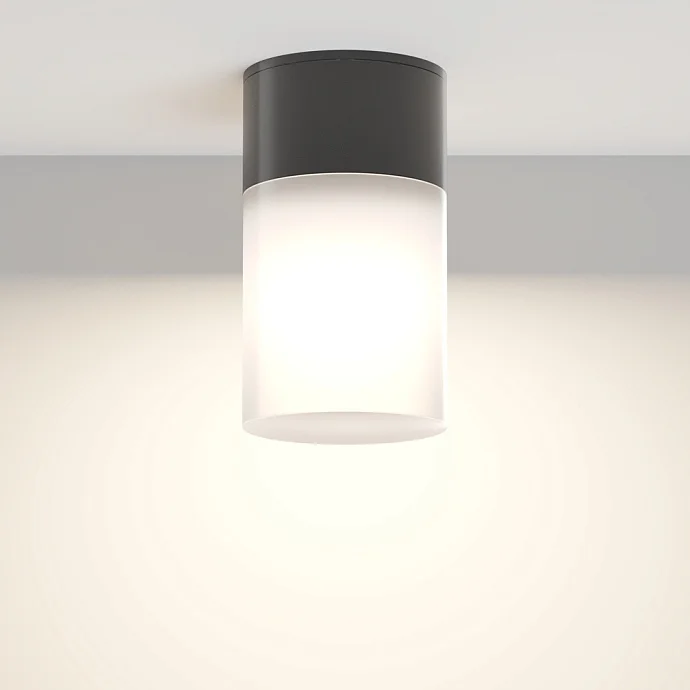 Outdoor Уличный потолочный светильник Willis Outdoor — 60.00Вт IP65