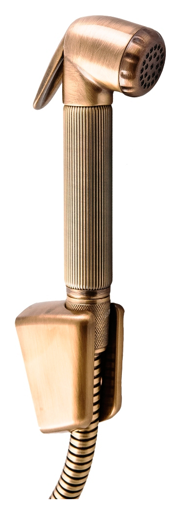Гигиенический душ Bossini Nikita C04045 BR бронза