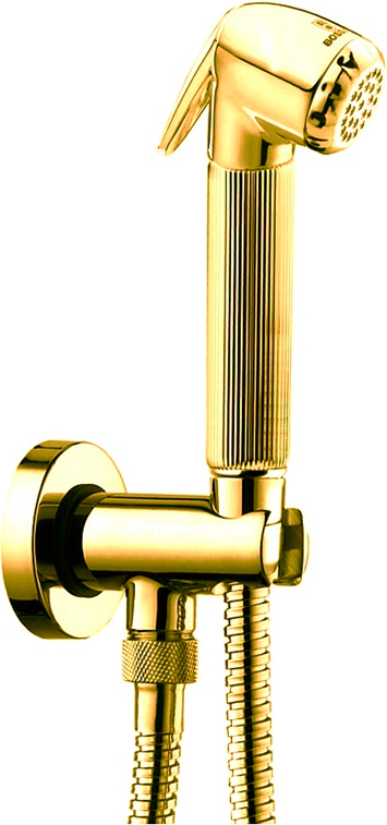 Гигиенический душ Bossini Nikita C69002 ORO золото