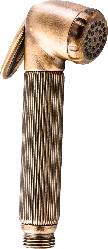 Гигиенический душ Bossini Nikita B00650 BR бронза