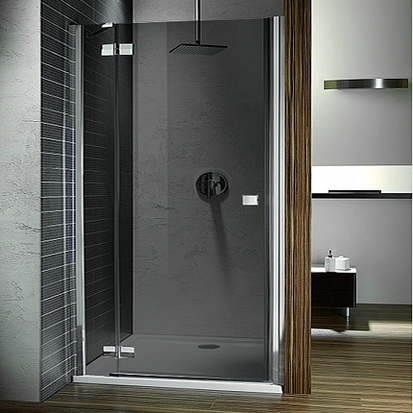 Душевая дверь в нишу Radaway Almatea DWJ 120 стекло графит L