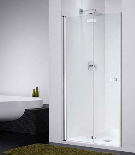 Душевая дверь в нишу Provex Combi free 0005-CF-05-GL L 100 см