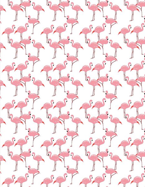 Штора для ванной Bacchetta Flamingo 180х200