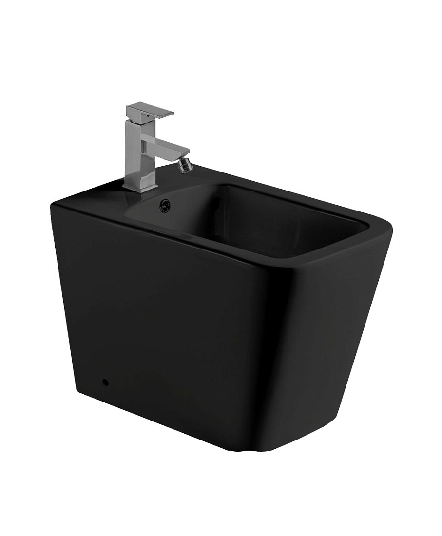 Биде напольное WeltWasser SK GELBACH 003 MT-BL черный матовый