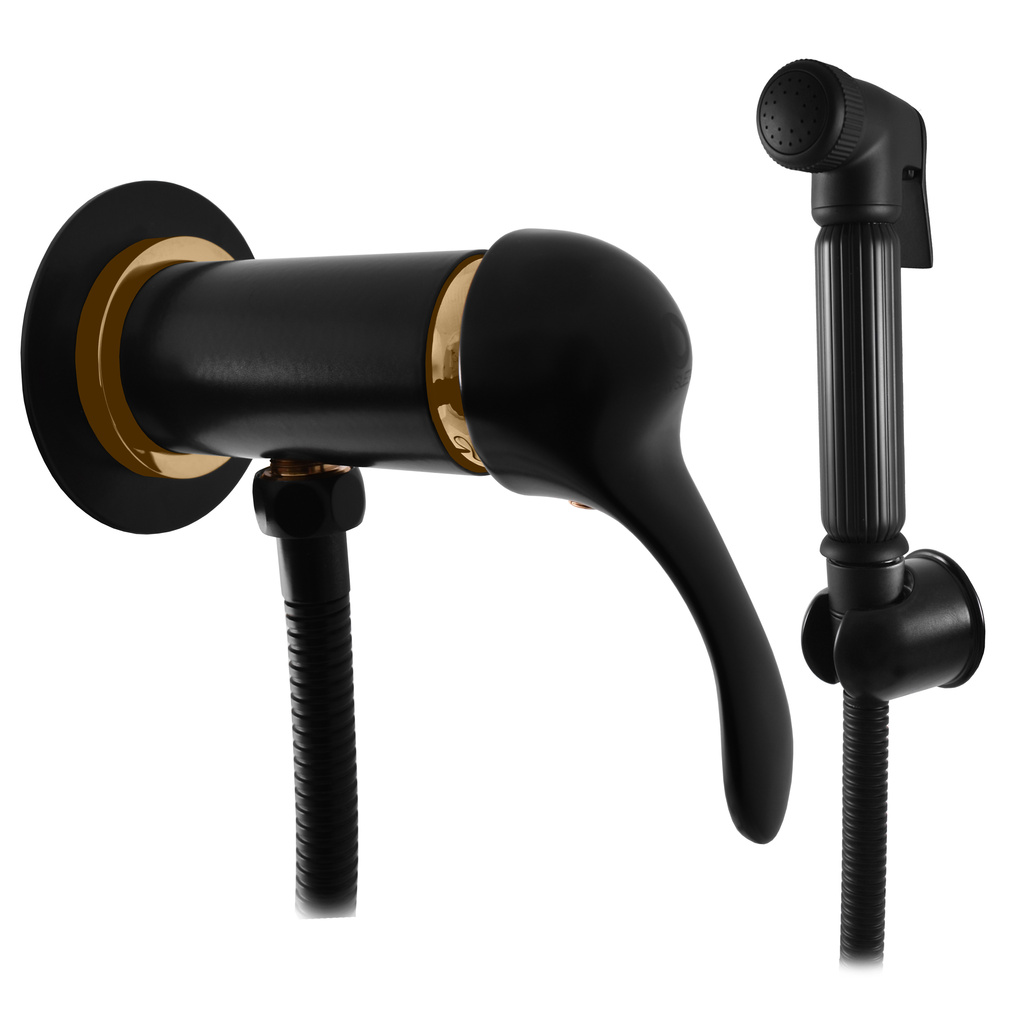 Гигиенический душ Rav Slezak Labe L047/1CMATZ со смесителем, черный матовый/золото