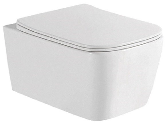 Унитаз подвесной Allen Brau Liberty 4.32003.20 с микролифтом