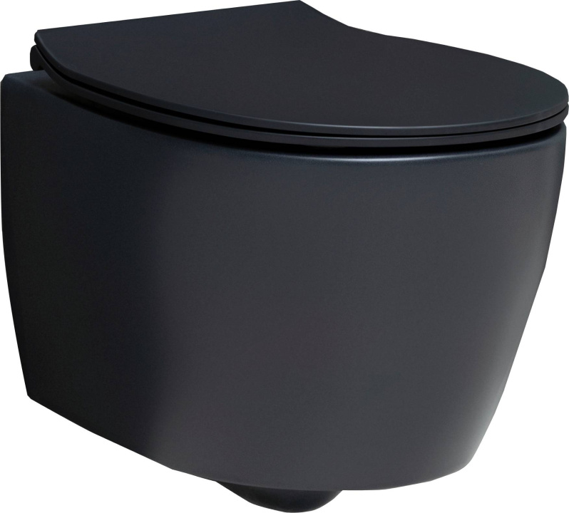 Унитаз подвесной Allen Brau Fantasy 4.11004.31 черный