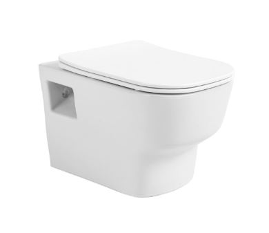 Унитаз подвесной Avimano Tradition безободковый с сиденьем микролифт