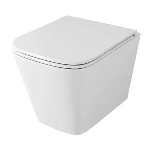 Унитаз подвесной OWL 1975 Vatter Ruta-H mini TOWLT190403S безободковый, с микролифтом