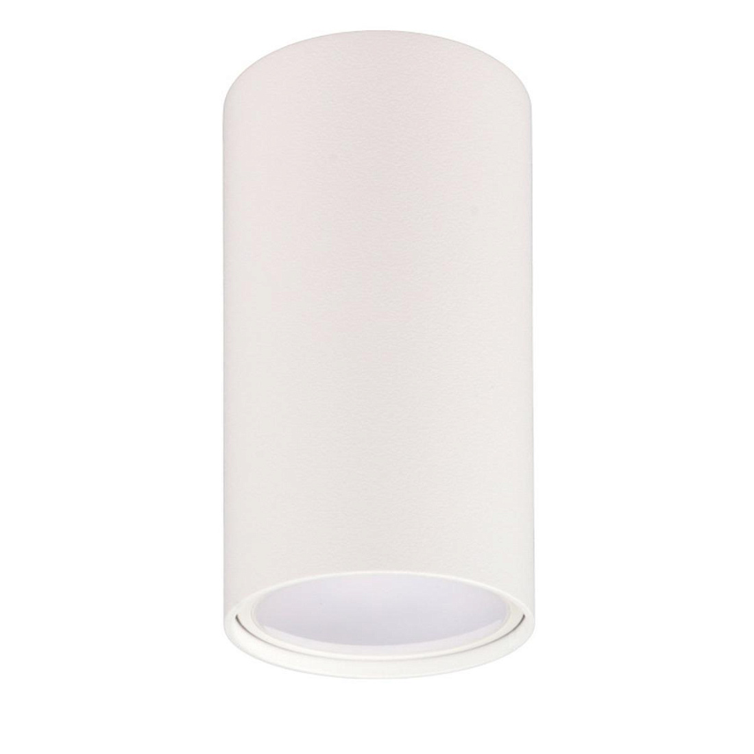 Накладной потолочный светильник Ritter Arton 59950 0