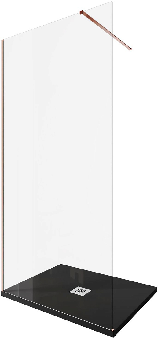Душевая перегородка Allen Brau Infinity 3.21017.60 100х200 см