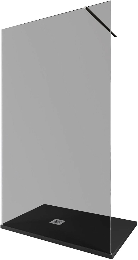 Душевая перегородка Allen Brau Infinity 3.21020.BA.T 120х200 см