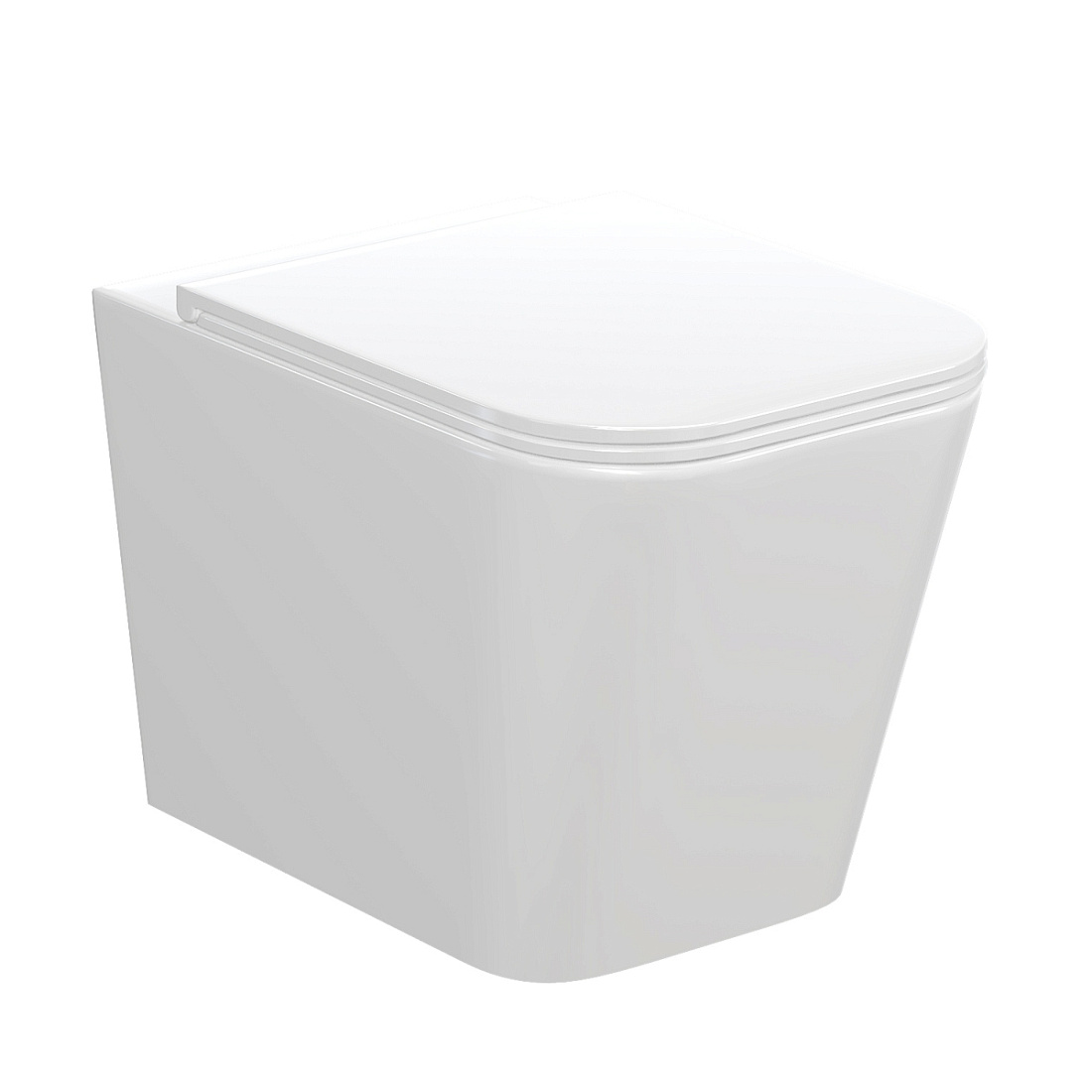 Унитаз подвесной Idrico Element 2.0 1002-2.0-ElW сиденье с микролифтом, белый глянцевый